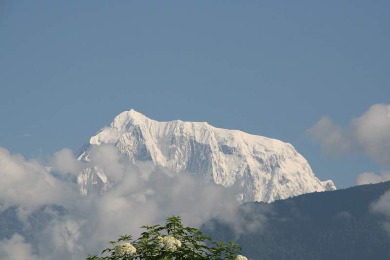 India & Nepal 2011 - 0494